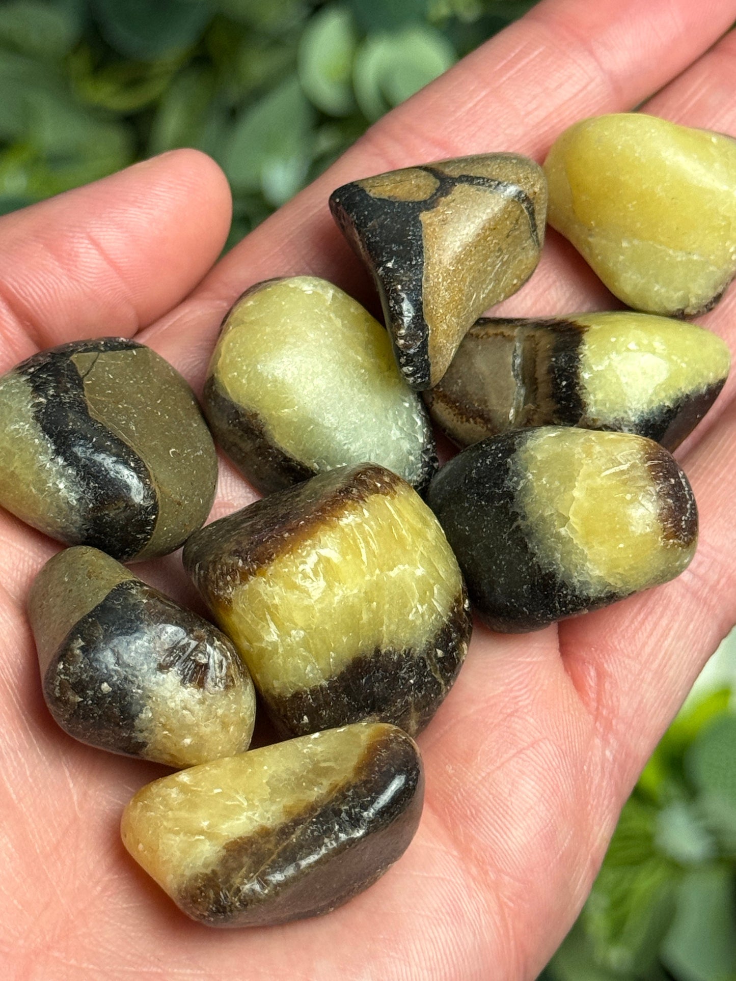 Septarian Tumbled Stones