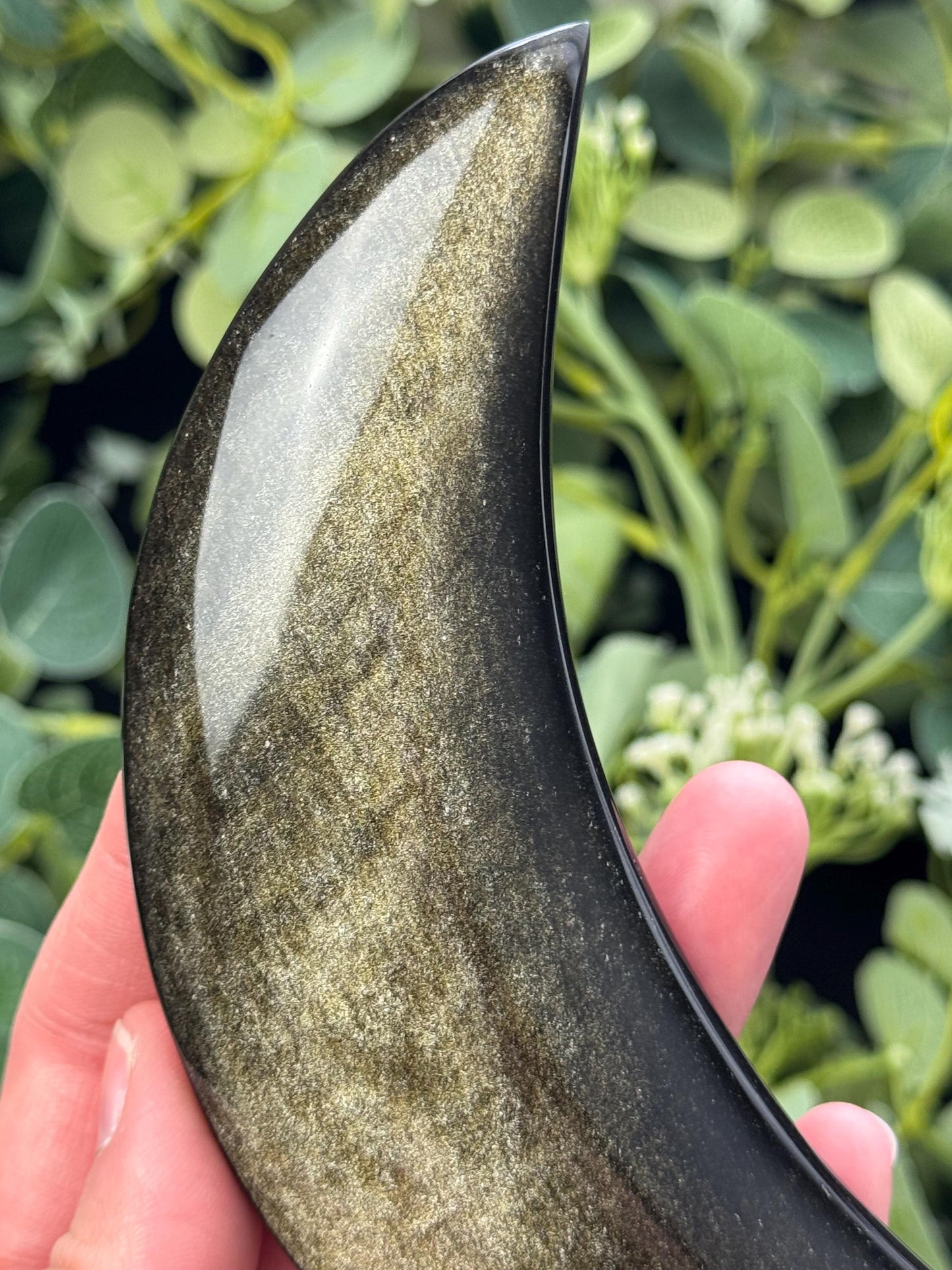 Gold Sheen Obsidian Moon