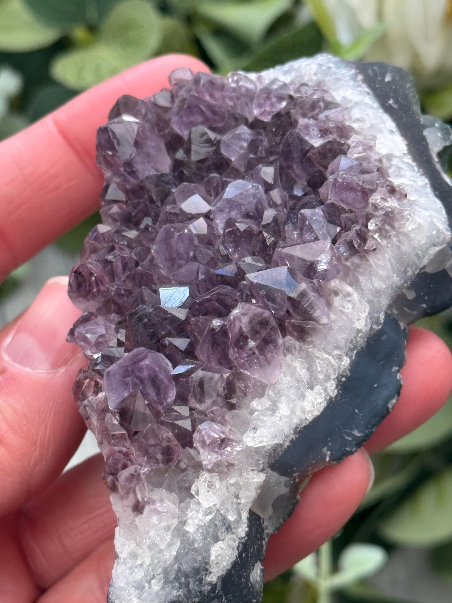 Amethyst Crystal Cluster from Brazil | Raw Amethyst Display Piece