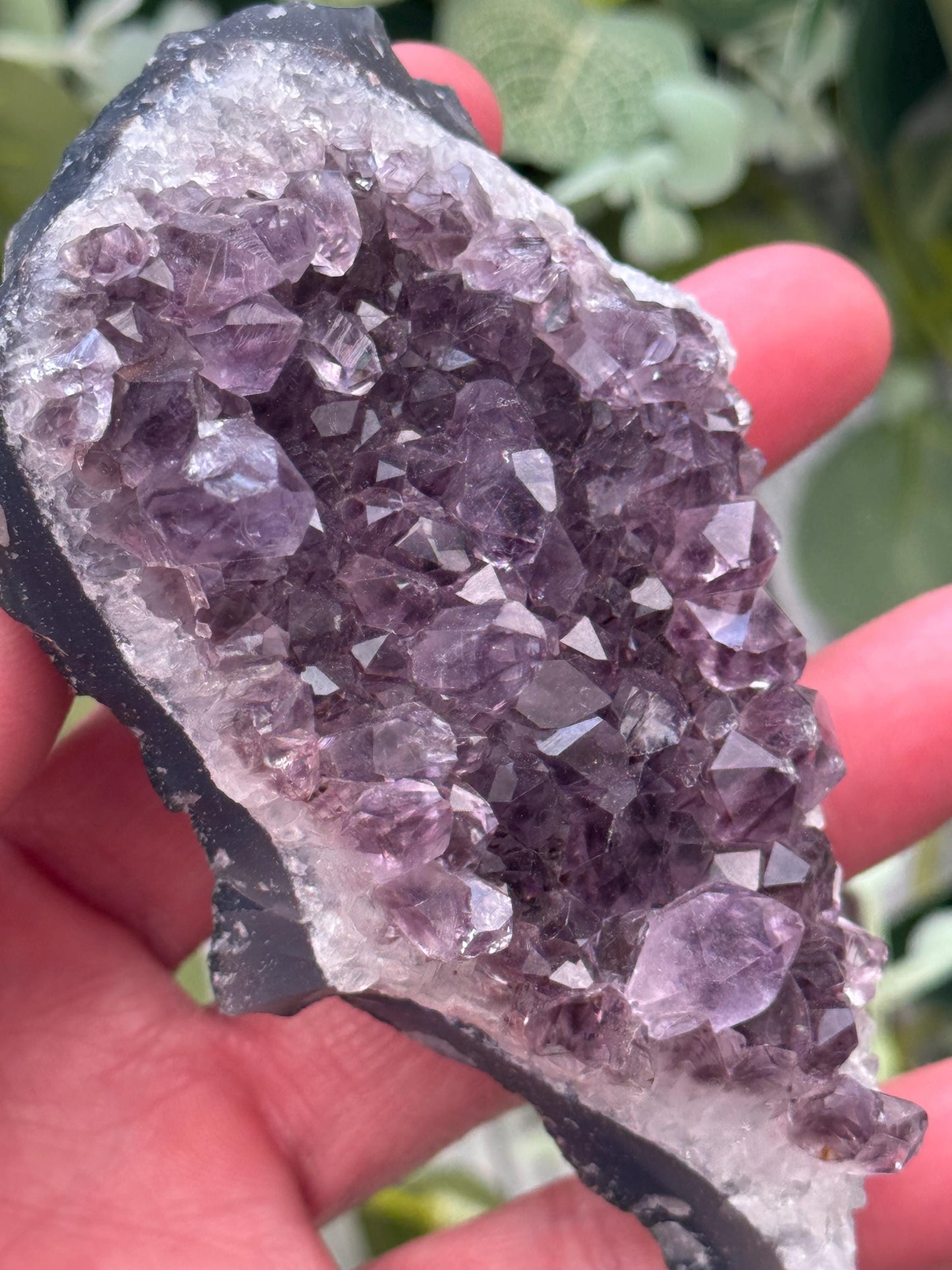 Amethyst Crystal Cluster from Brazil | Raw Amethyst Display Piece